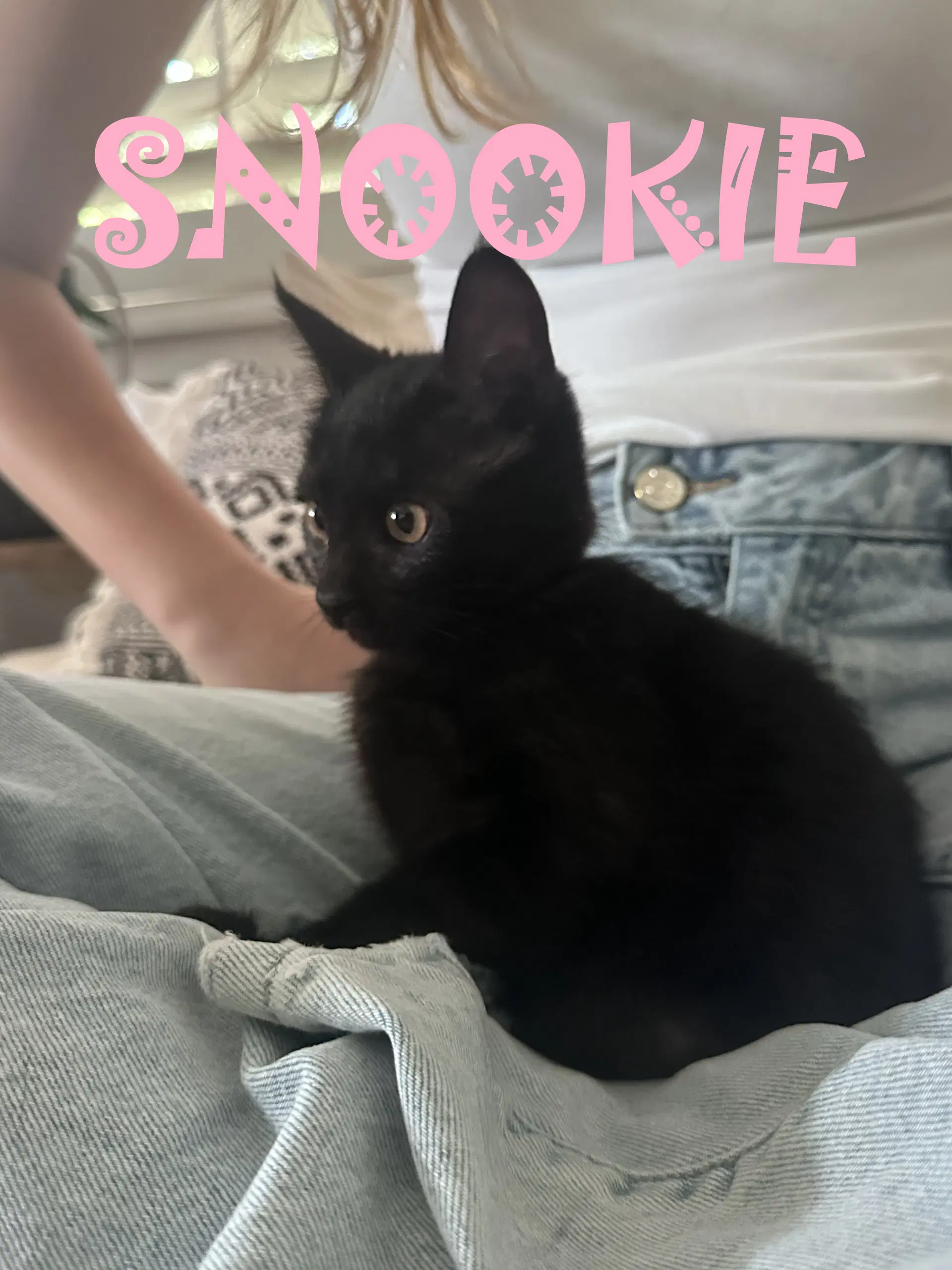 Snookie image 2