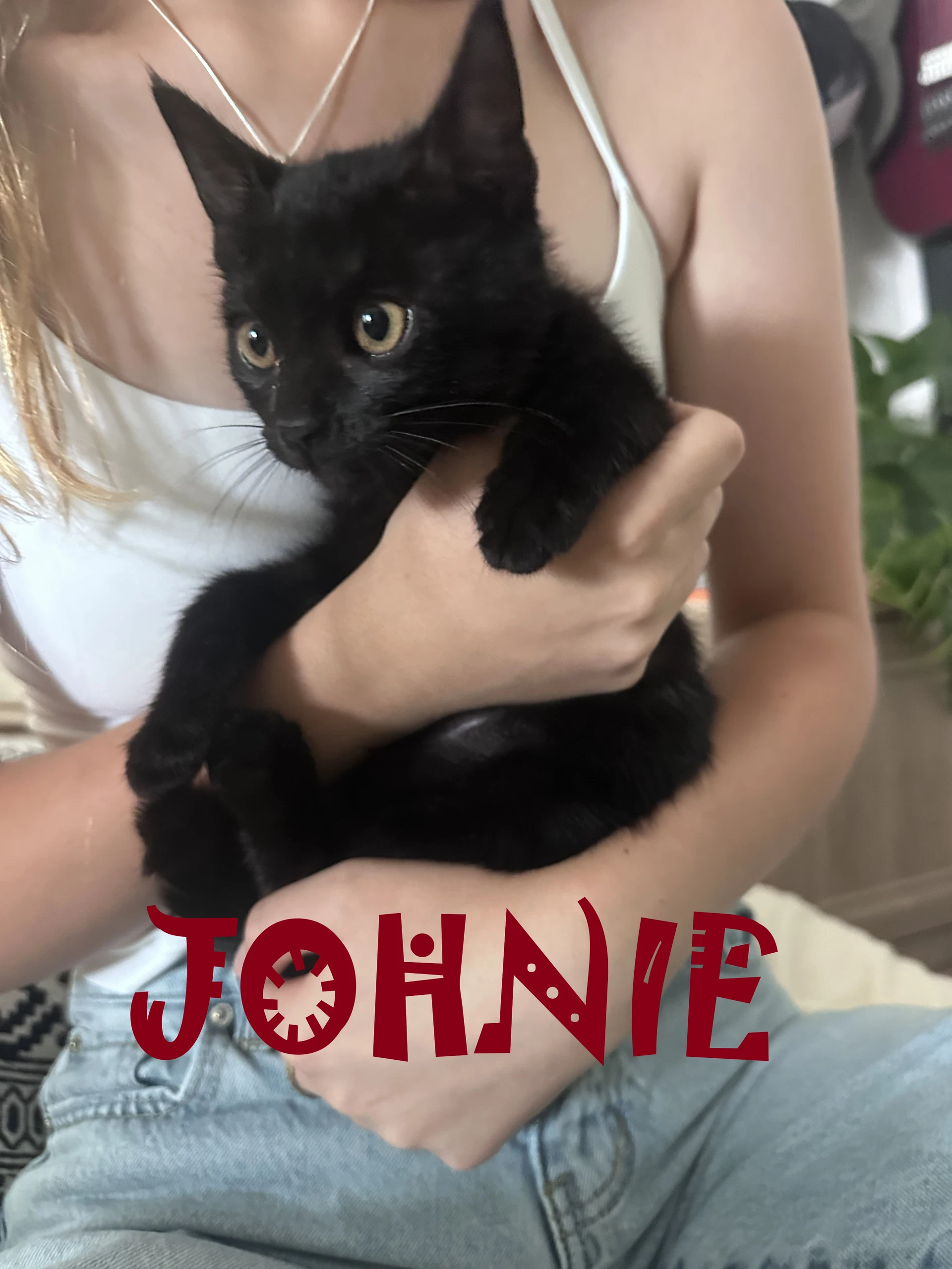 Johnie