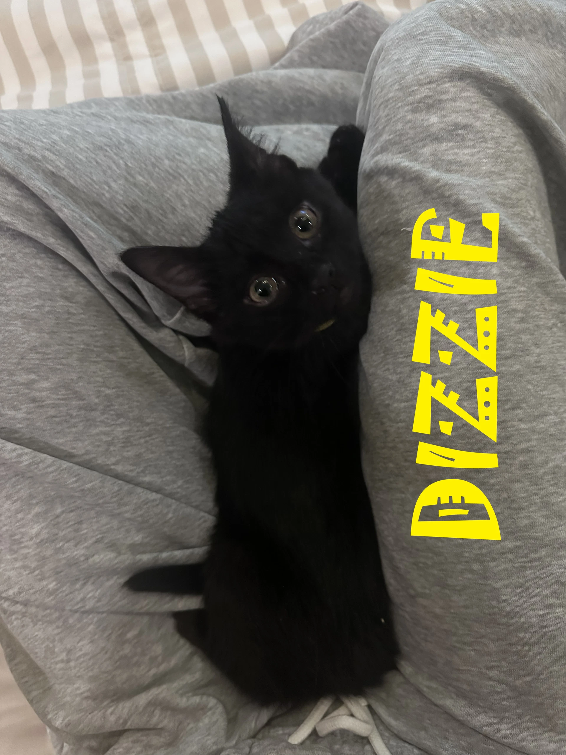 Dizzie