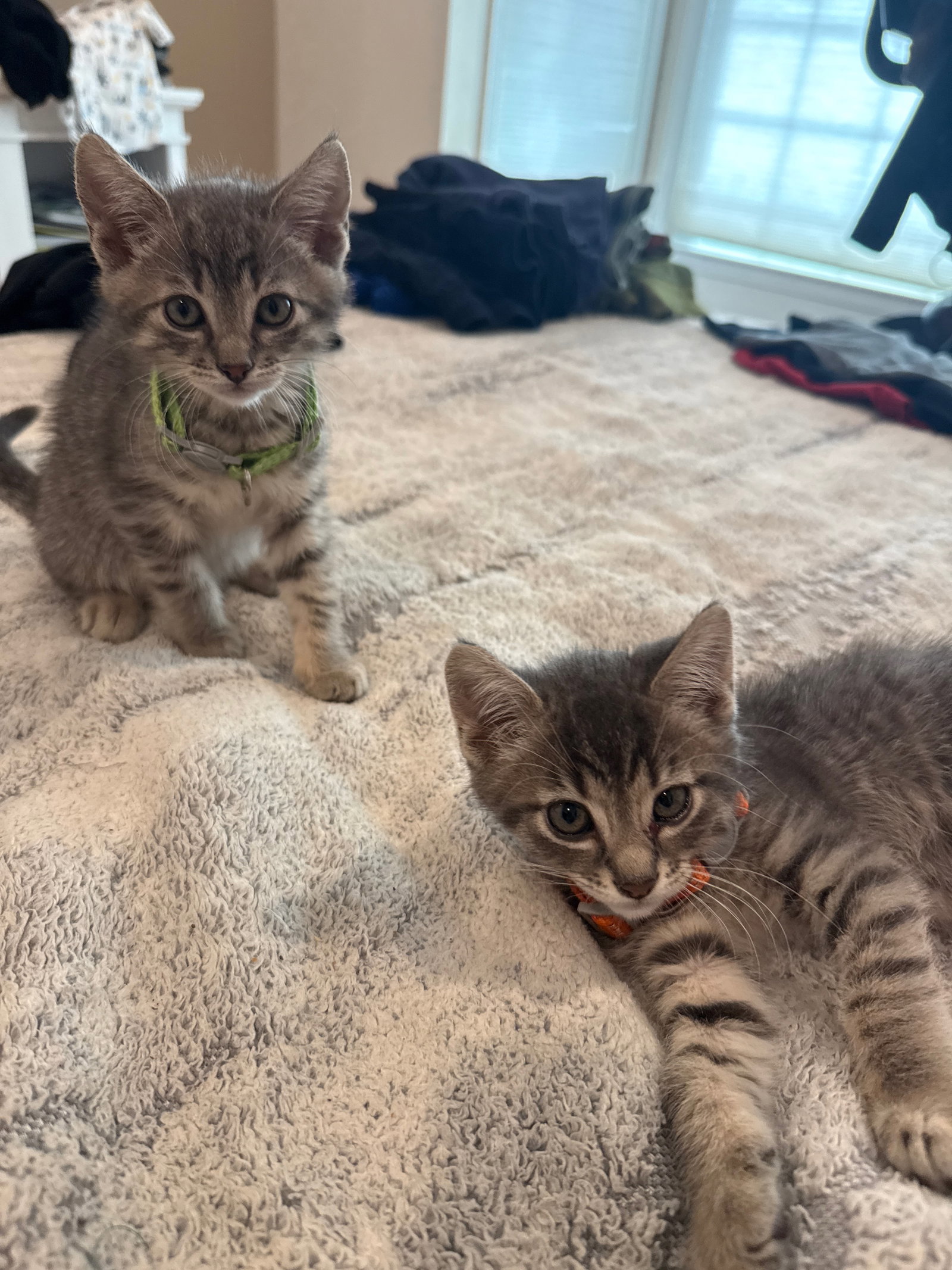 Yoshi & Blue