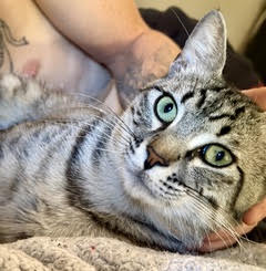 Photo 2 of Sawyer