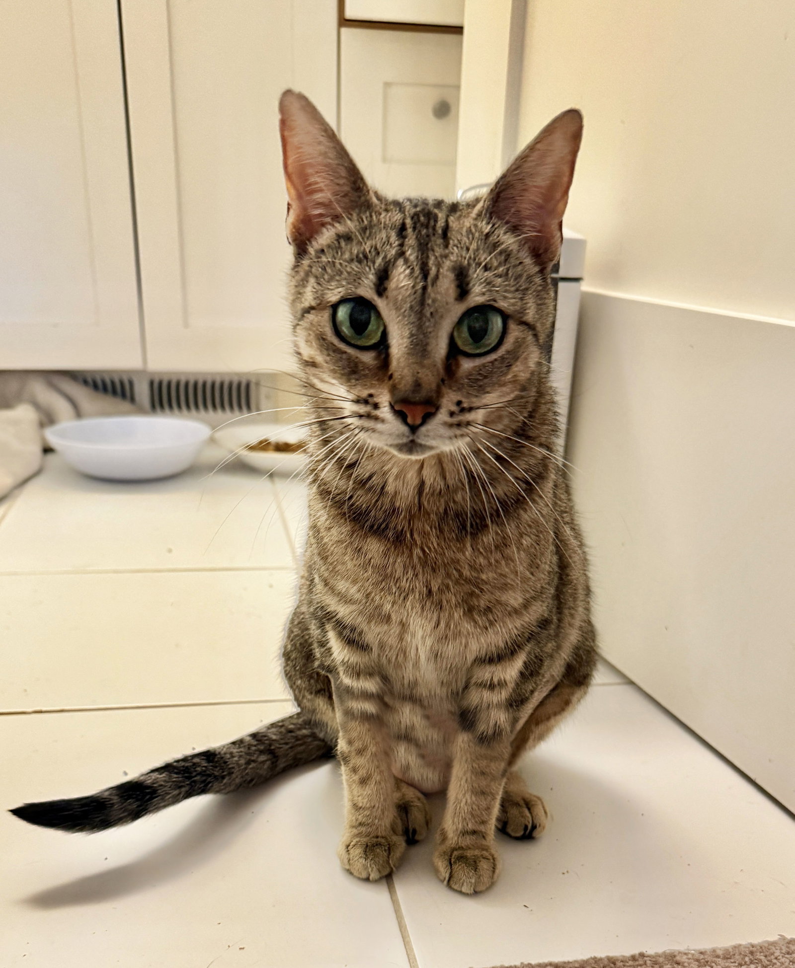 Kiki, photo 2