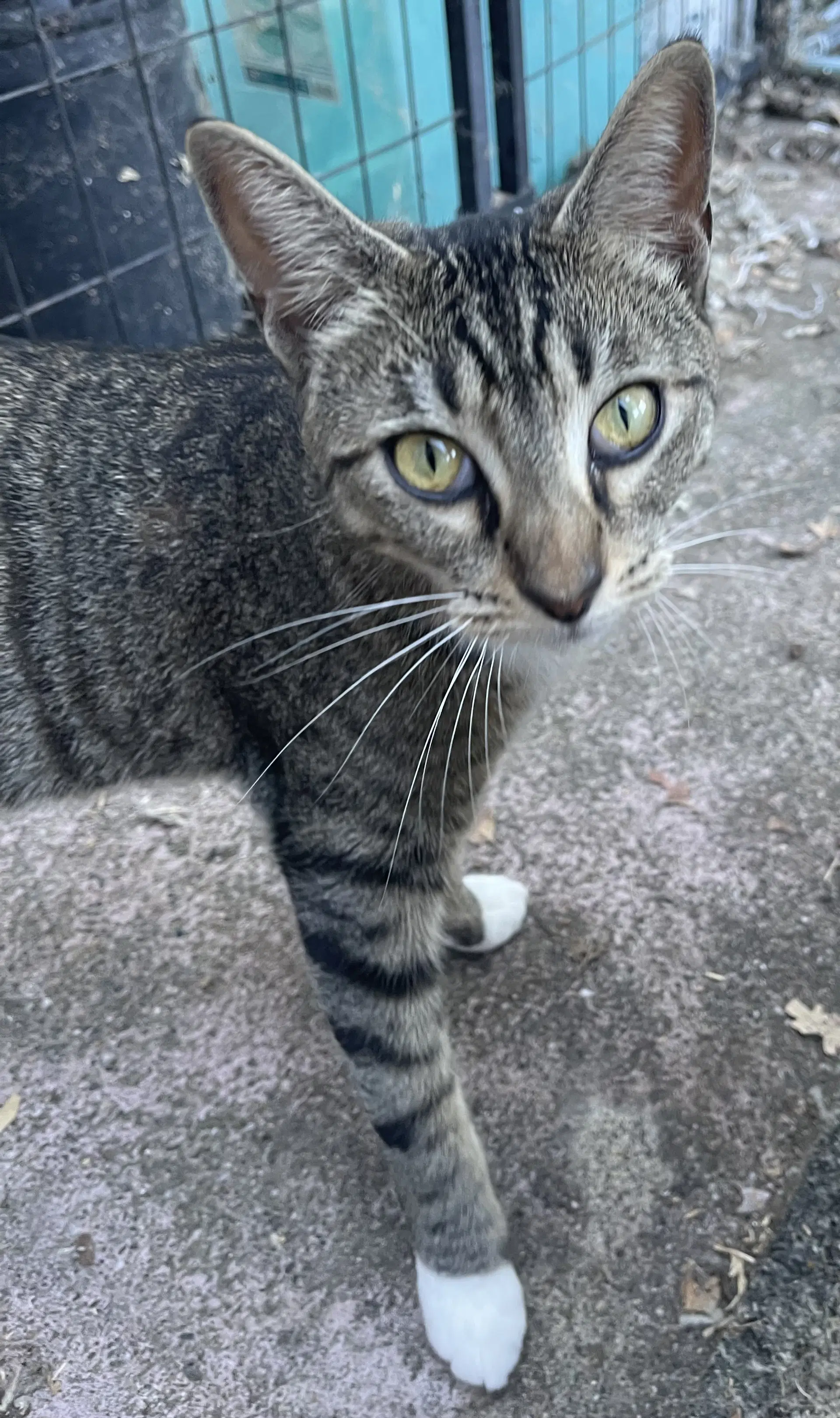 Wendy image 1