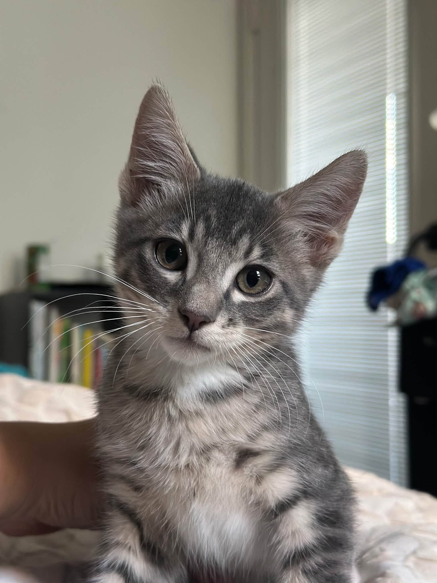 Henry