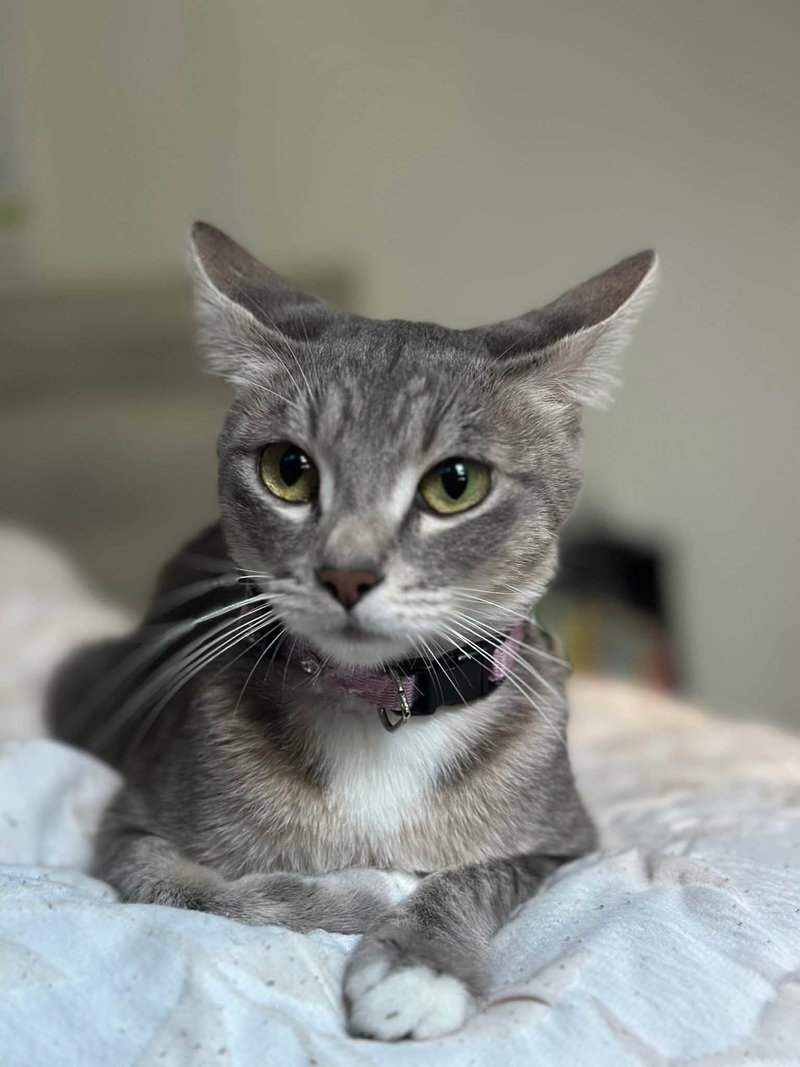 Ember, photo 2