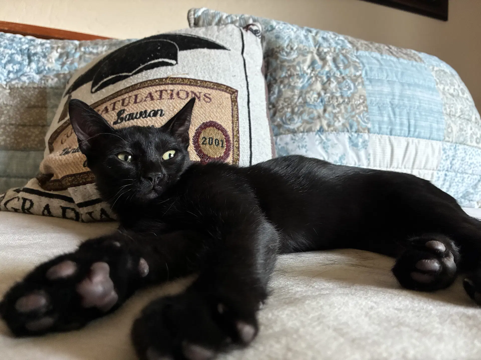 Pepper image 3