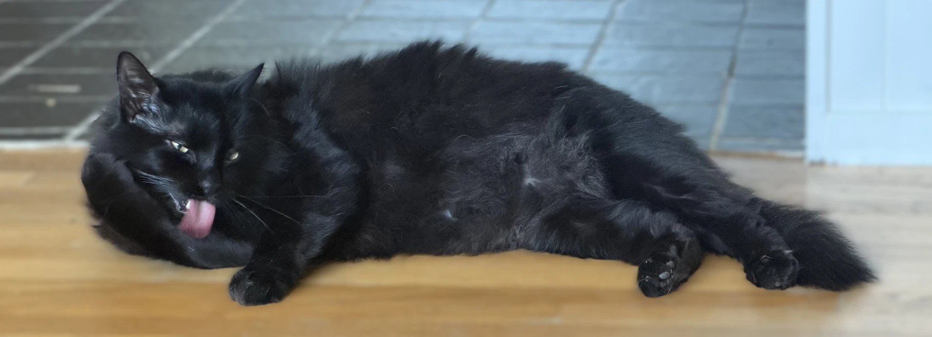 Sam