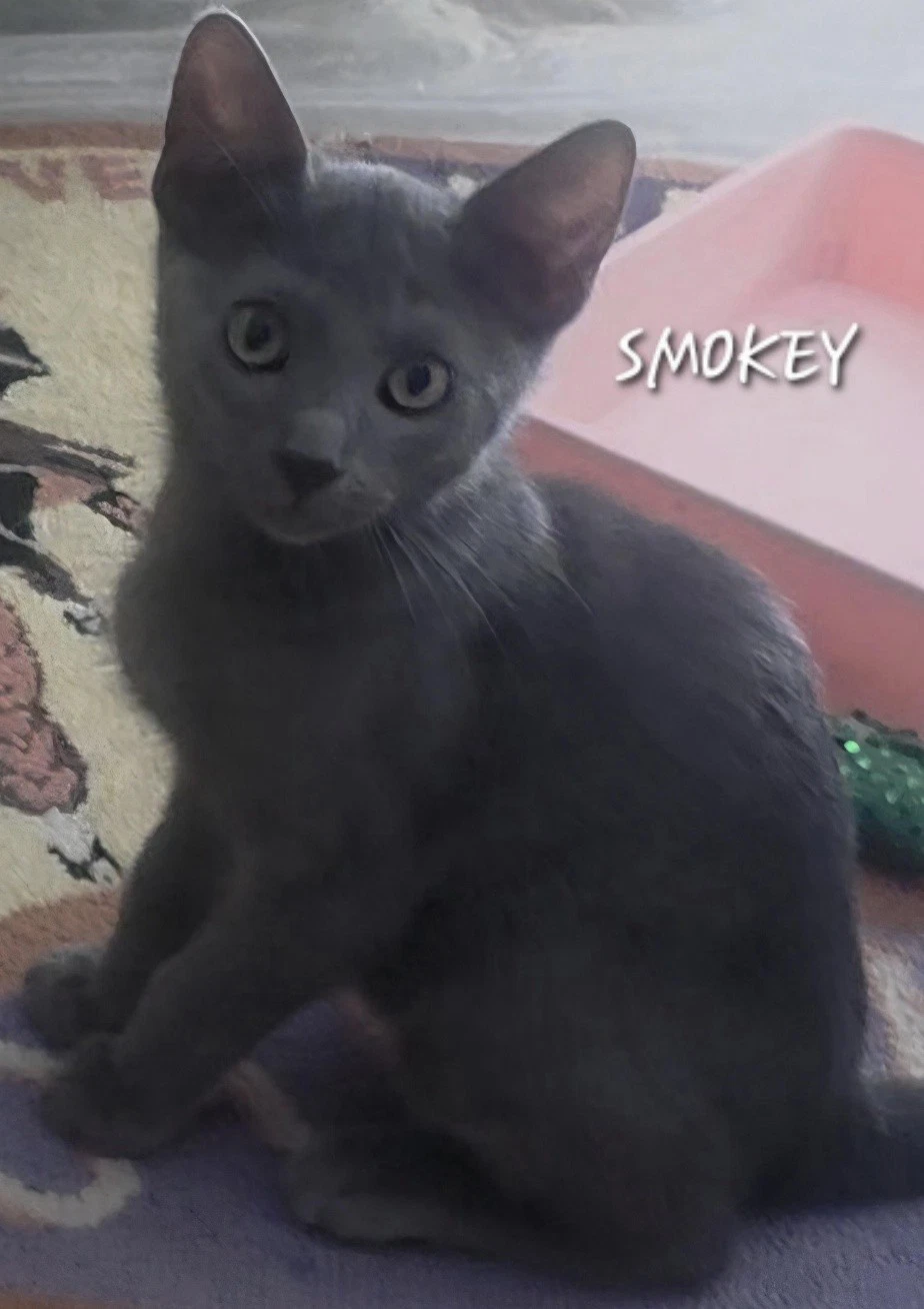 Smokey
