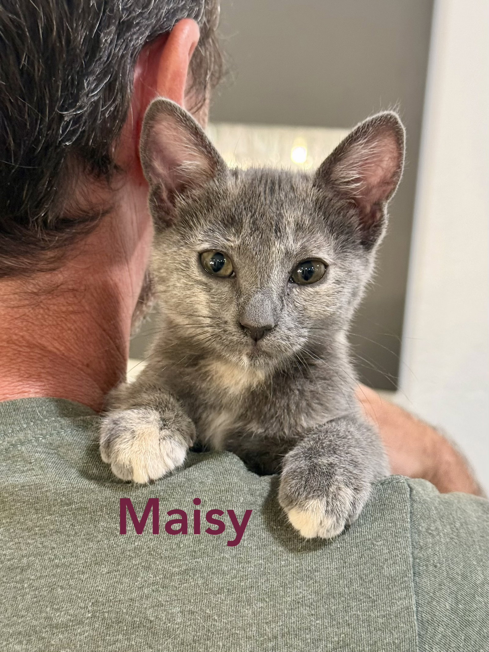 Maise and Molly, photo 2