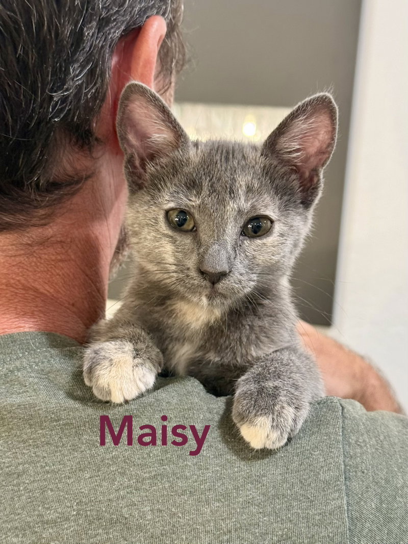 Maise and Molly, photo 2