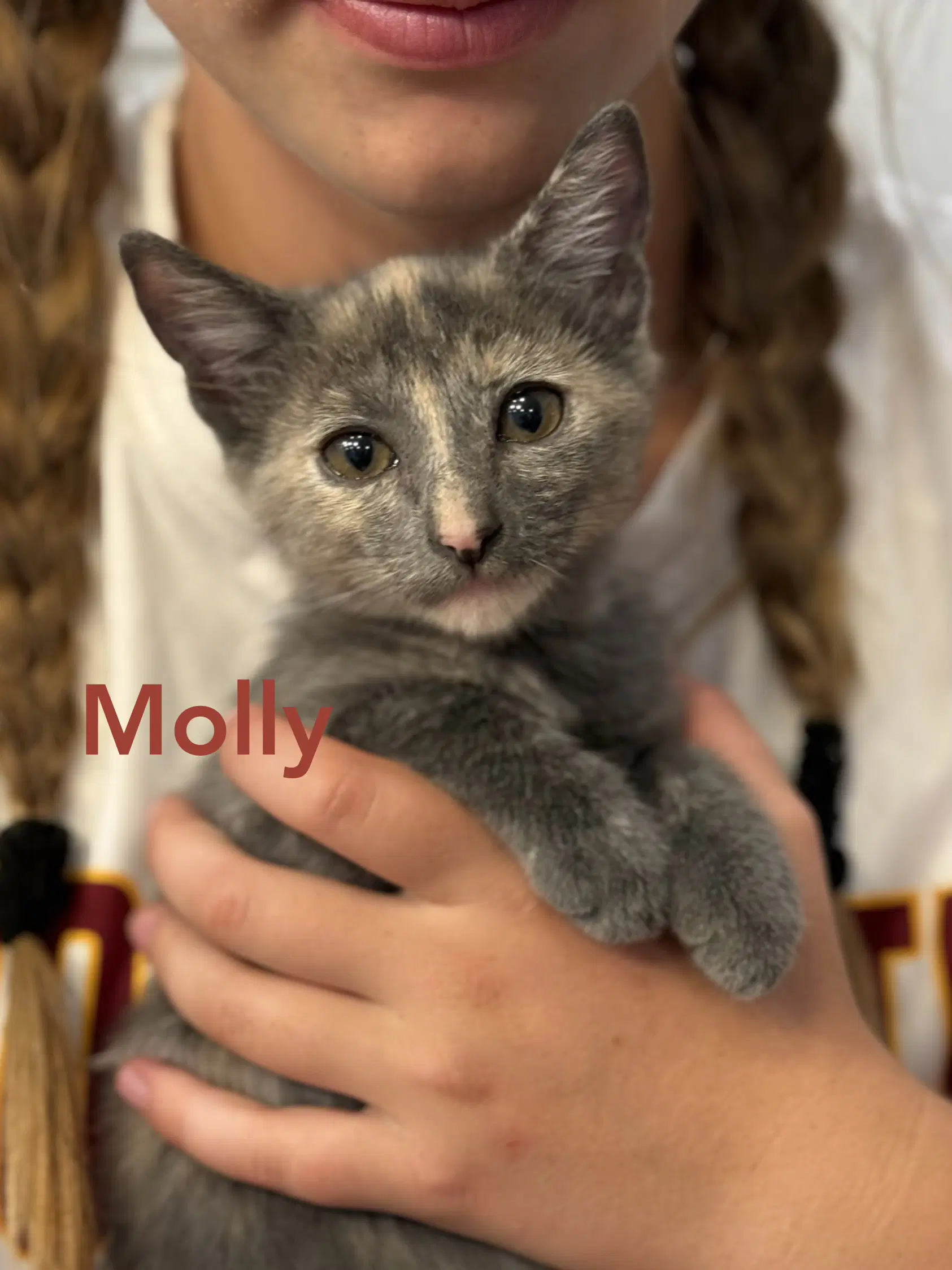 Maise And Molly image 3