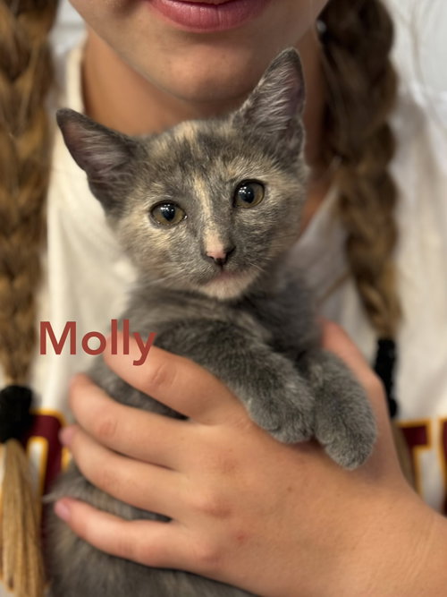 Photo 3 of Maise and Molly