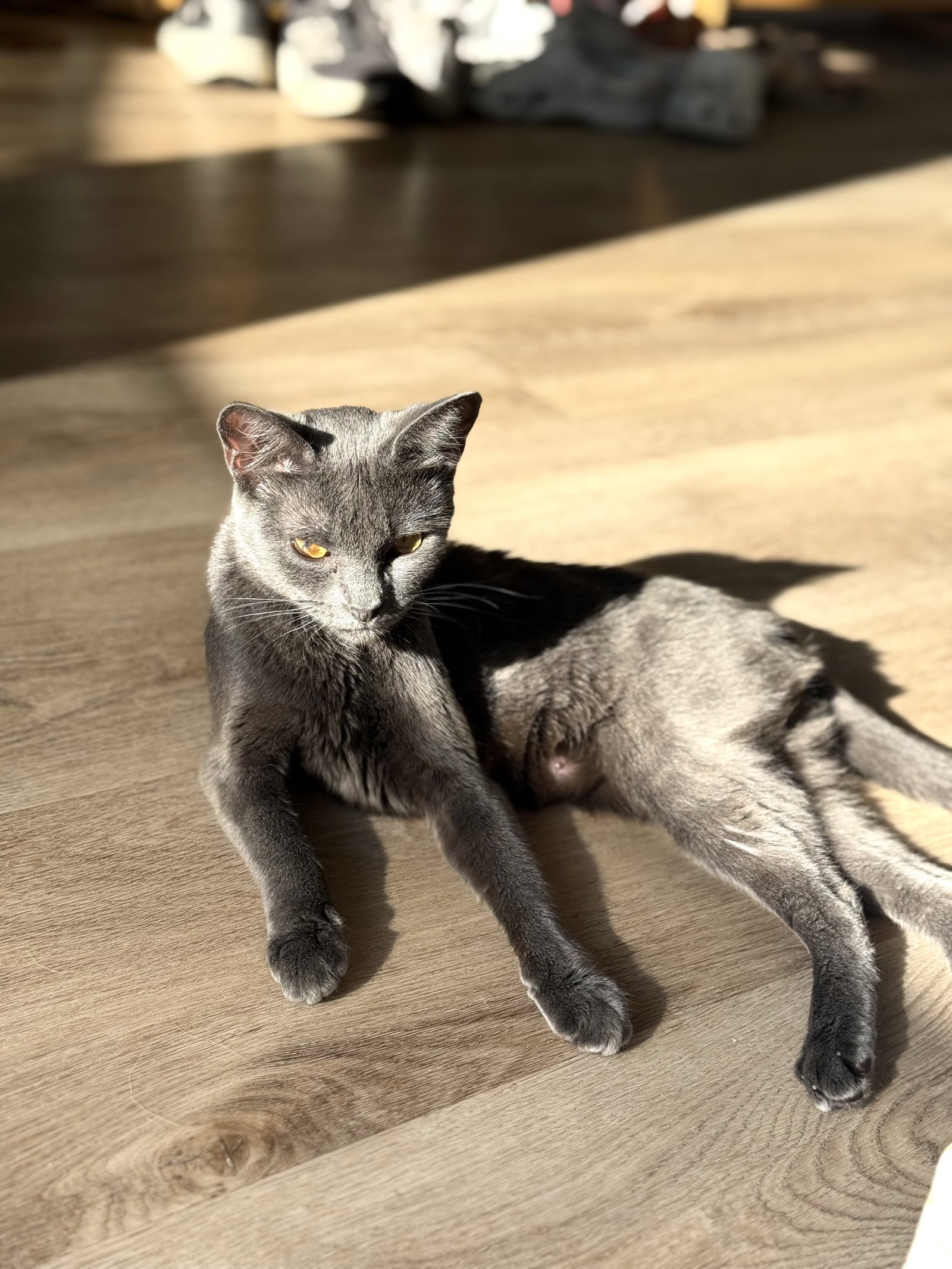 Mabel, photo 2