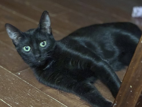 Photo 2 of Minnie