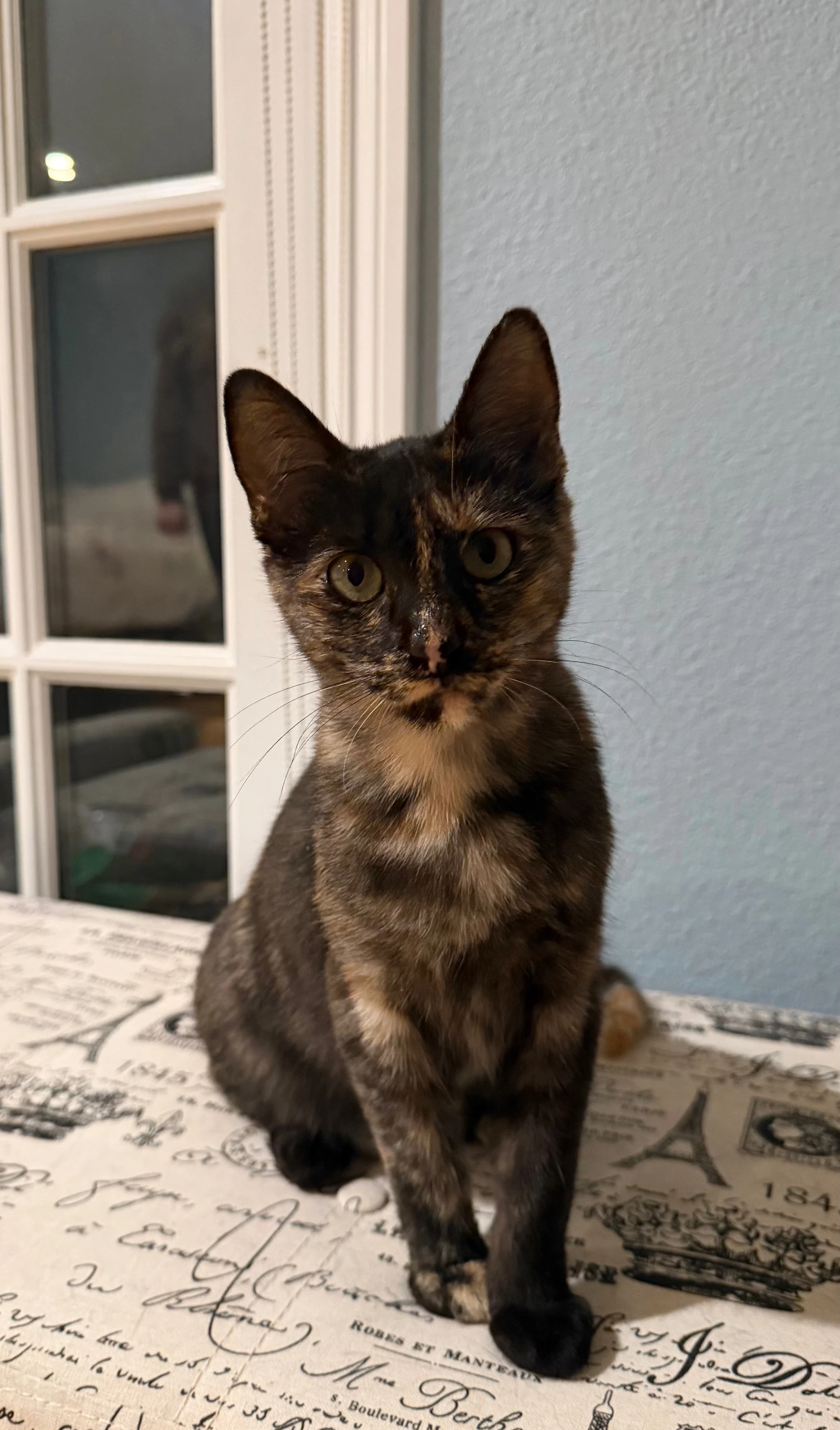 Mabel  Leo