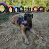 Isla - Photo 2