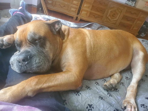Photo of Isla