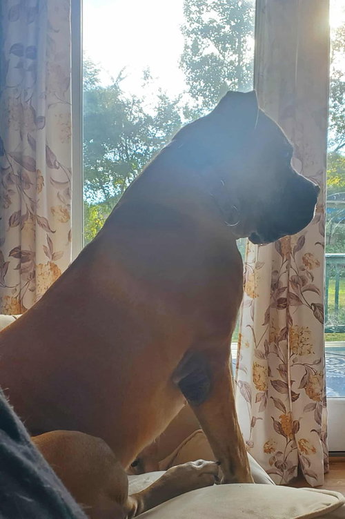 Photo of Isla