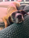 Katie - Photo 2