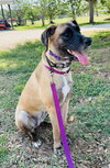 Katie - Photo 3