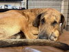Ember - Photo 3