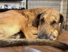 Ember - Photo 3