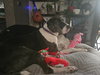 Moonwatcher / Tarin - Photo 2