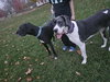 Moonwatcher / Tarin - Photo 3