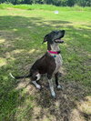 Dallas - Photo 1