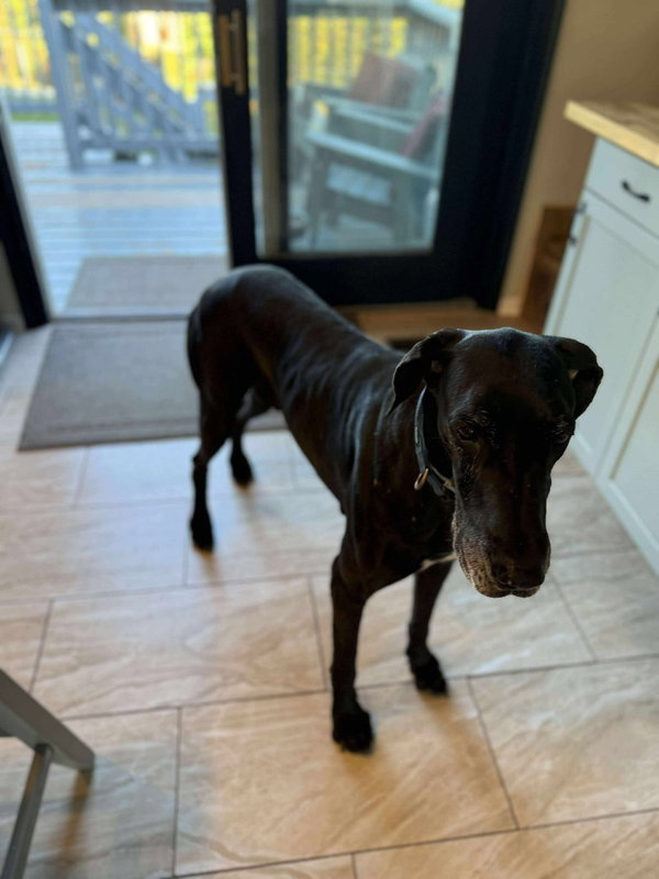 Bubba