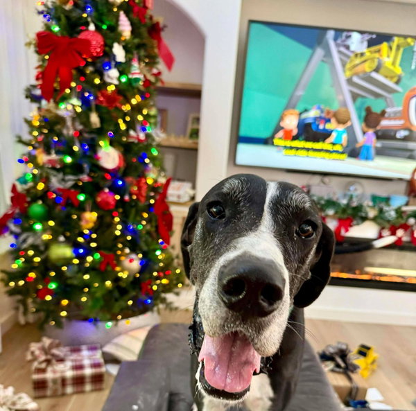 Milo