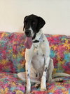 Laverne - Photo 1