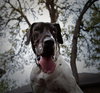 Laverne - Photo 3