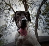 Laverne - Photo 2