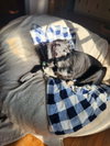 Caden - Photo 2