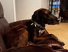 Scuttlebutt - Photo 3