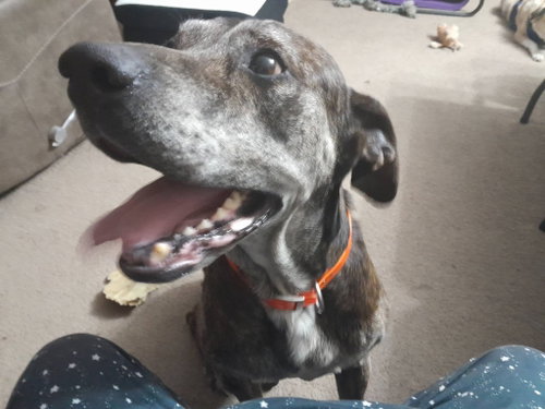 Walter