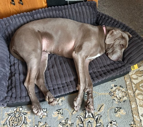 Gus photo 2