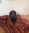 Binx - Photo 1