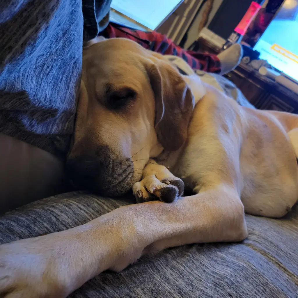 Luna Mae image 3