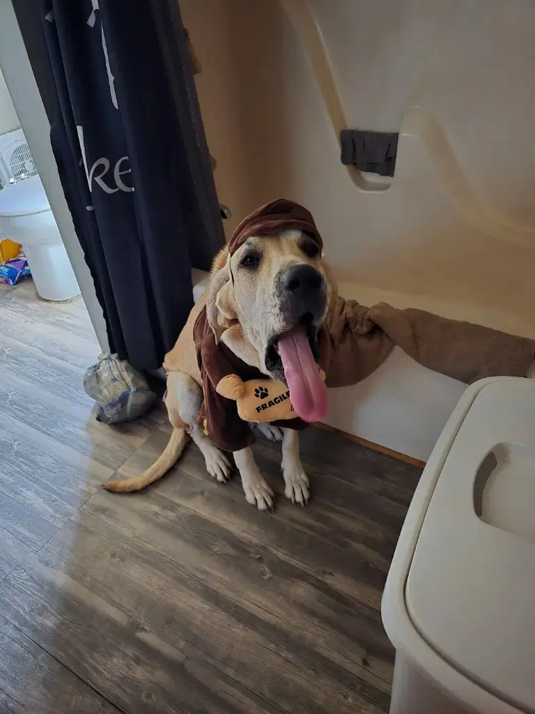 Luna Mae image 4