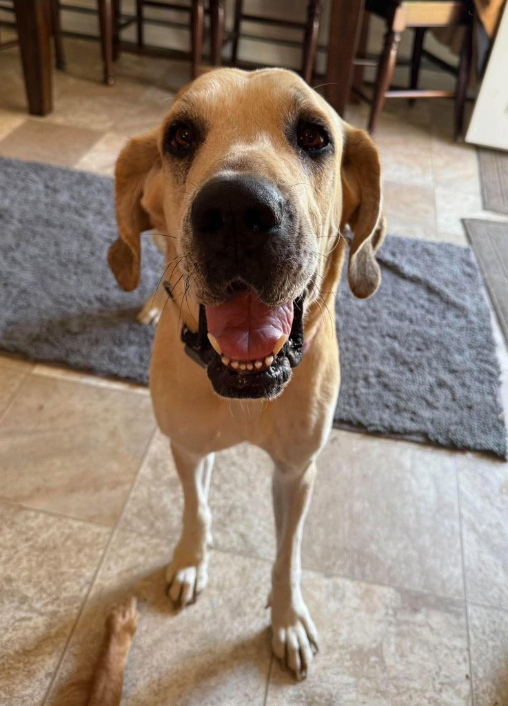 Luna Mae