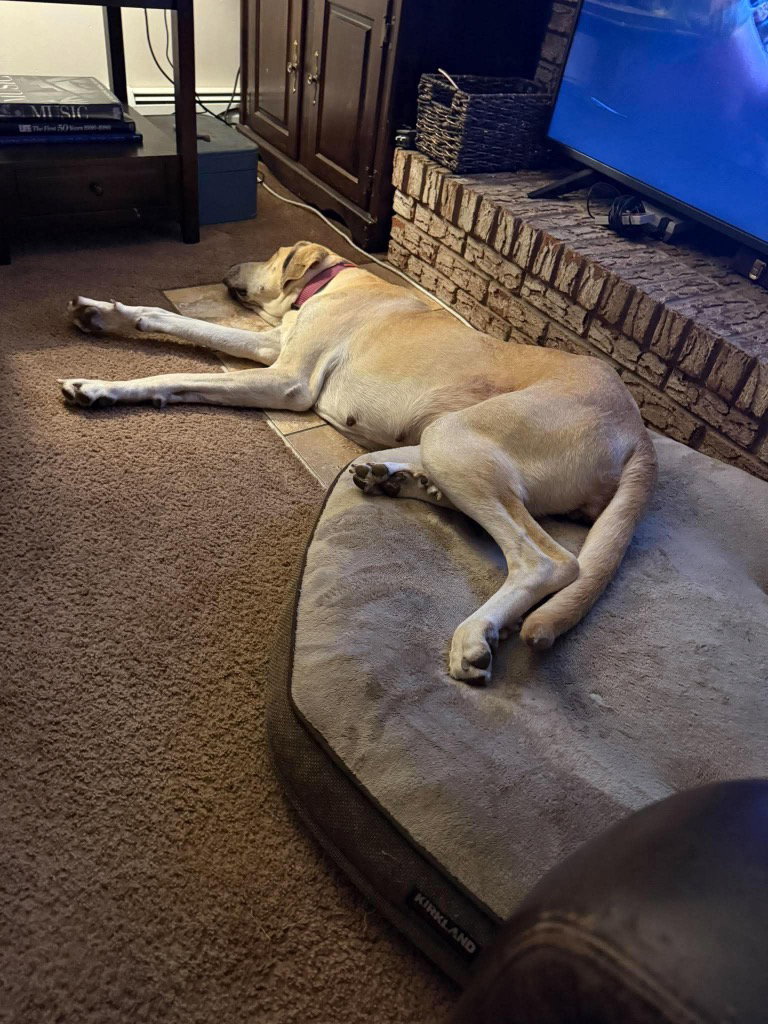 Luna Mae, photo 3