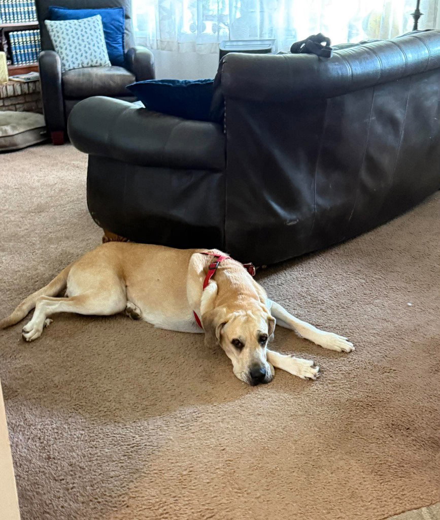 Luna Mae, photo 4