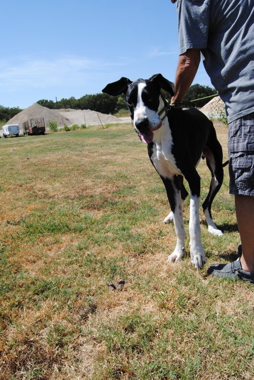 Photo 2 of Zeno