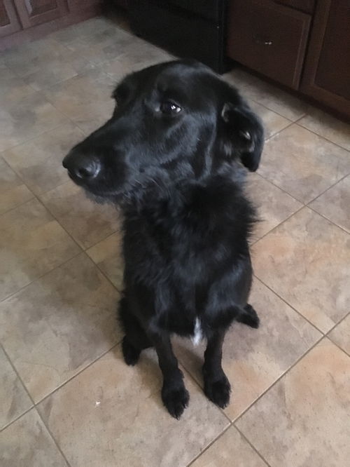ZOEY