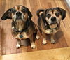 Kymo & Mocha