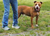 Roscoe