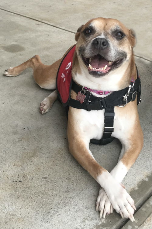 Ruby