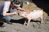 Pinky Pua